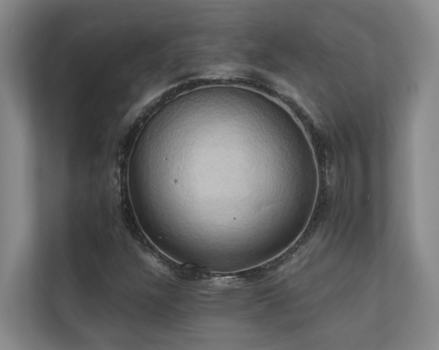 X0000110681304200906121158