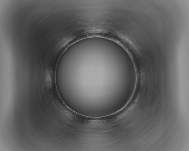 X0000110681305200906121158