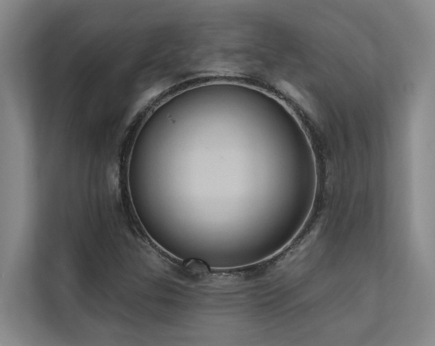 X0000110681307200906121158