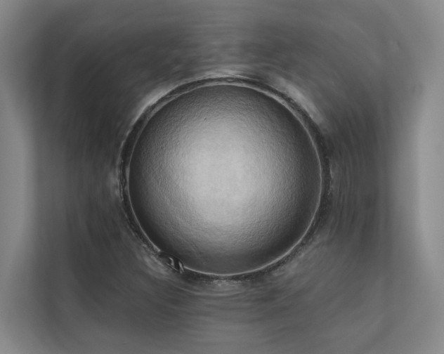 X0000110681308200906121158