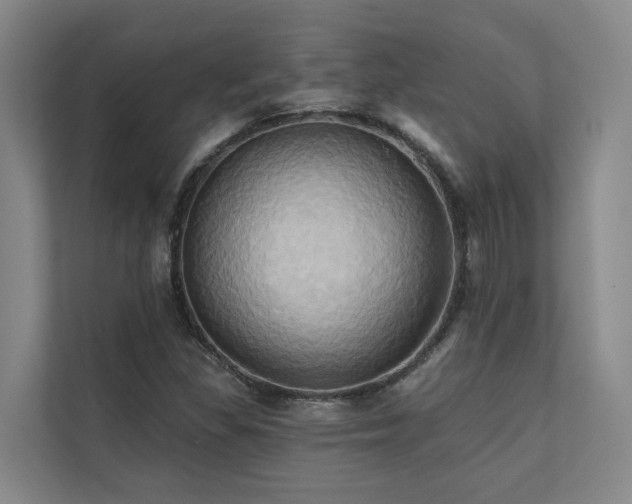 X0000110681309200906121158