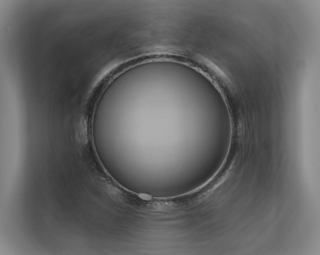 X0000110681310200906121158