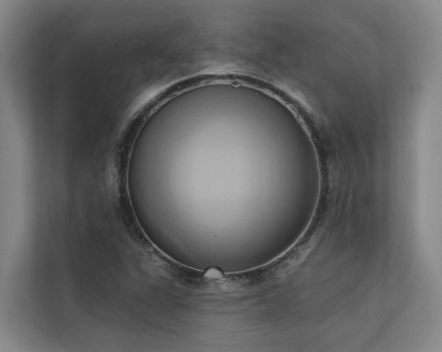 X0000110681311200906121158