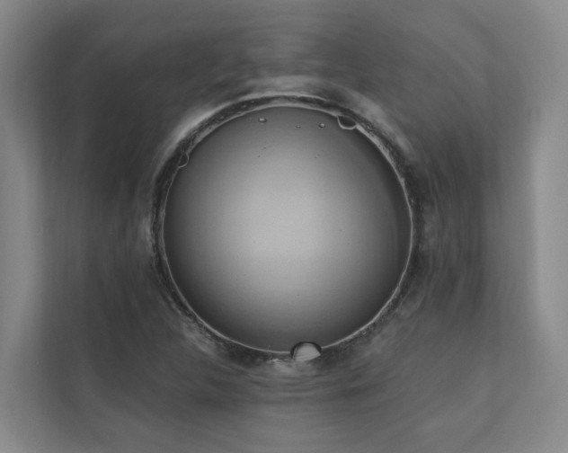 X0000110681312200906121158