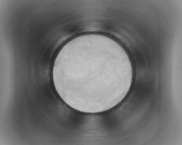 X0000110681314200906121158