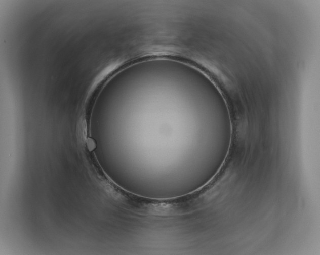 X0000110681317200906121158