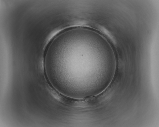 X0000110681320200906121158