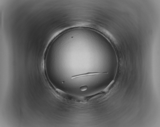 X0000110681324200906121158