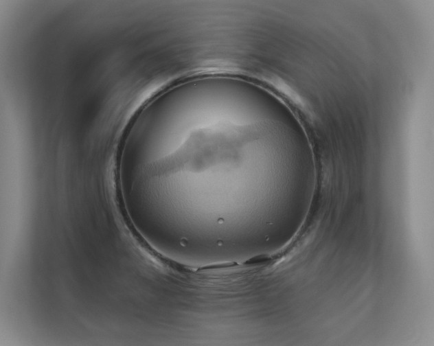 X0000110681325200906121158