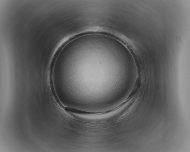 X0000110681326200906121158