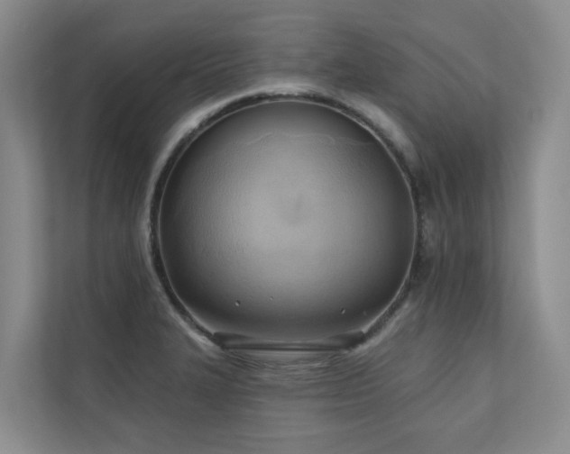 X0000110681327200906121158
