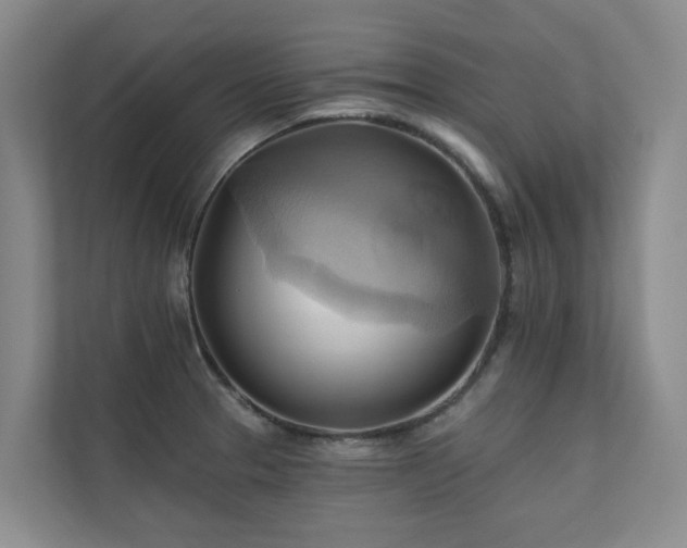 X0000110681329200906121158