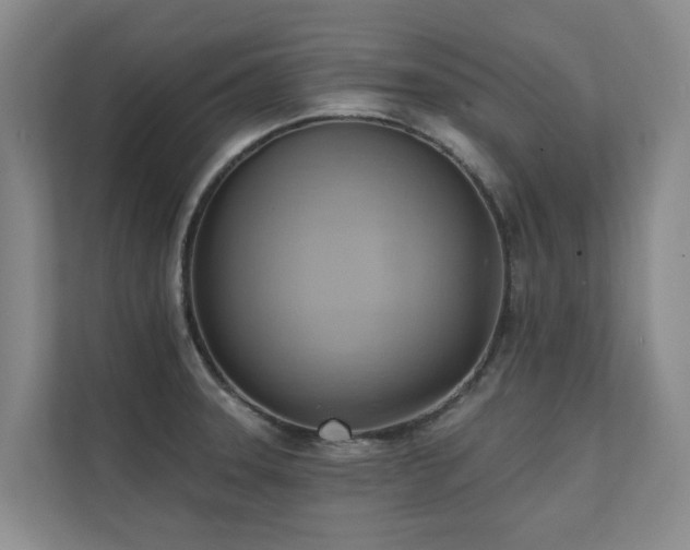 X0000110681331200906121158