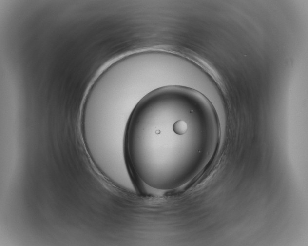 X0000110681332200906121158