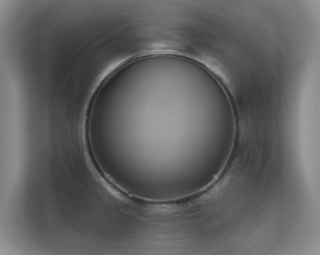 X0000110681333200906121158
