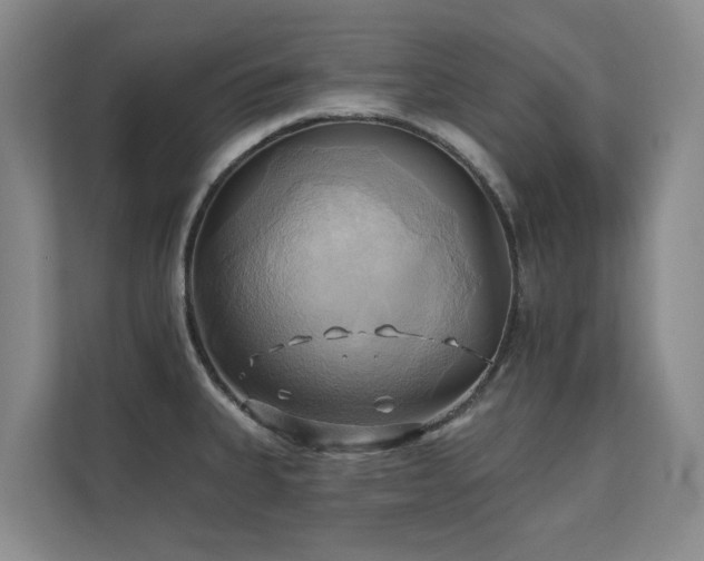 X0000110681335200906121158
