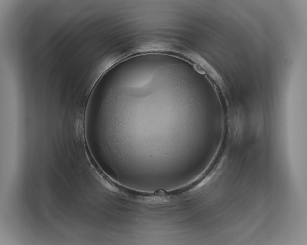X0000110681337200906121158