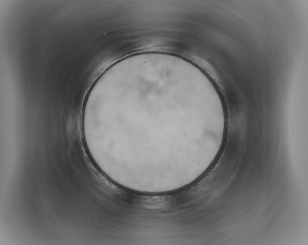 X0000110681338200906121158