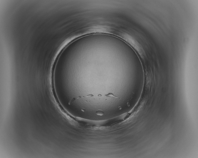 X0000110681339200906121158