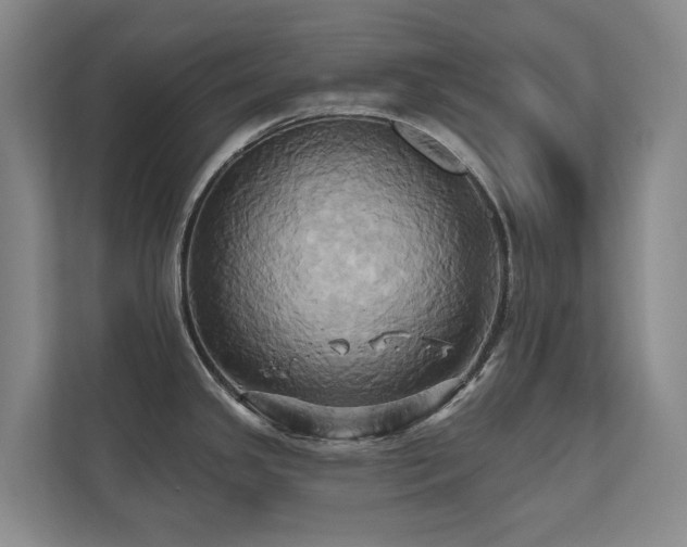 X0000110681341200906121158