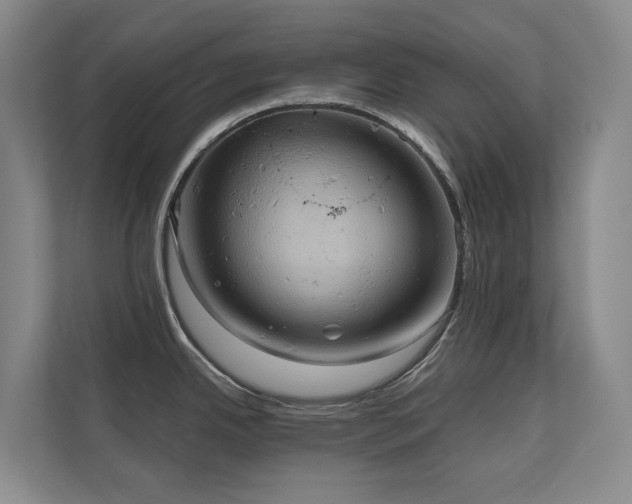 X0000110681342200906121158