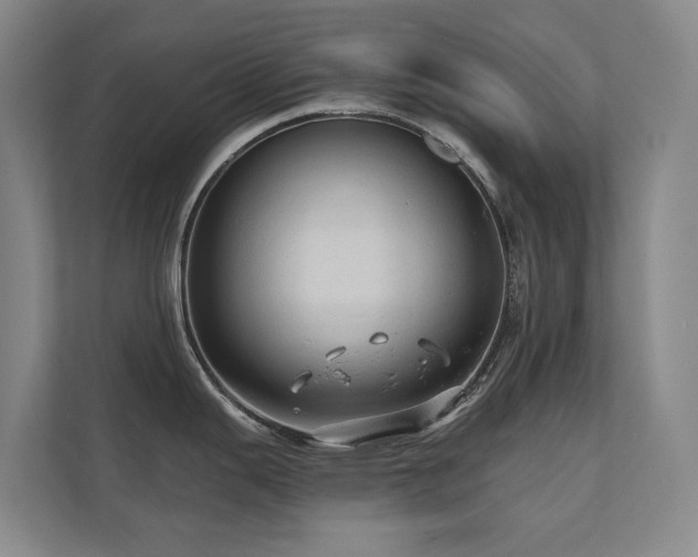 X0000110681343200906121158