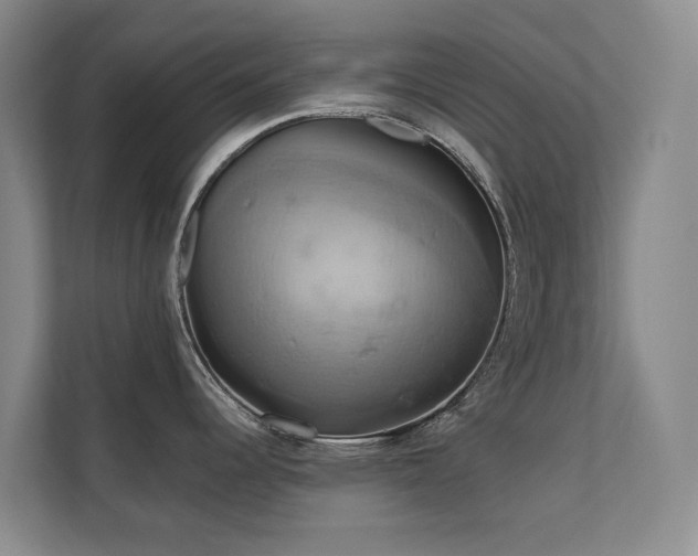 X0000110681344200906121158