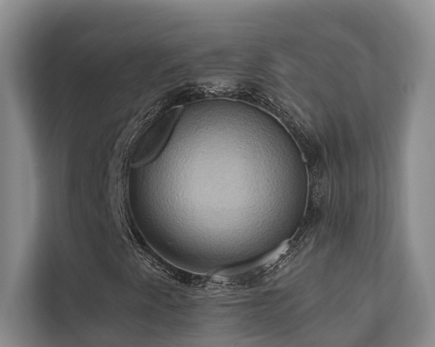 X0000110681345200906121158