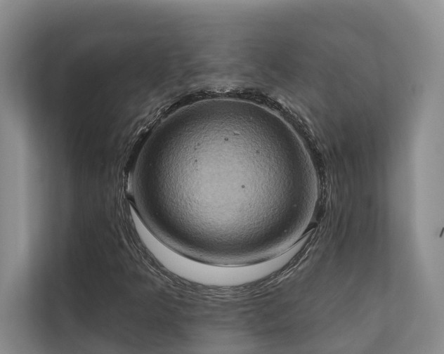 X0000110681349200906121157