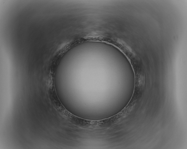 X0000110681350200906121157