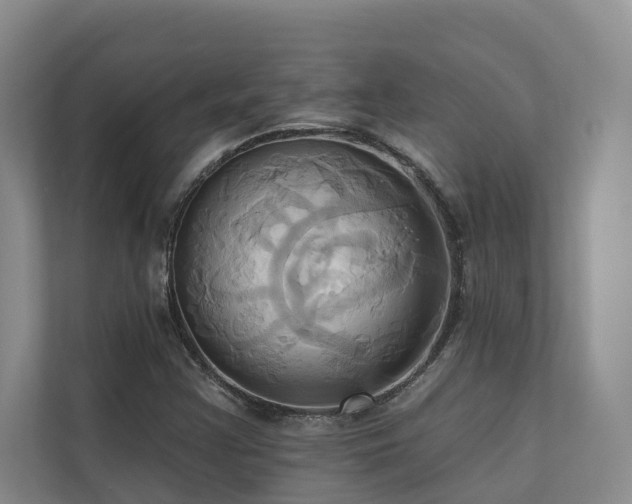X0000110681355200906121157