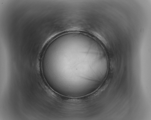 X0000110681356200906121157