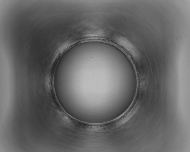 X0000110681357200906121157