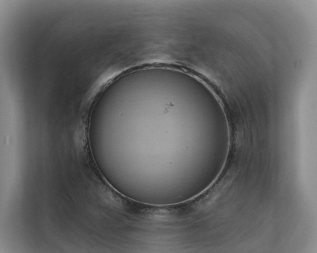 X0000110681359200906121157