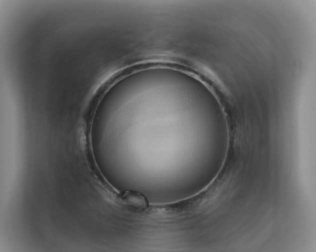X0000110681360200906121157