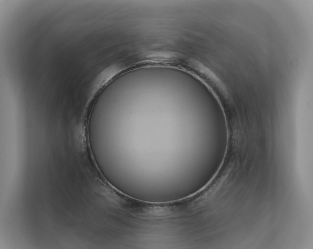 X0000110681362200906121157