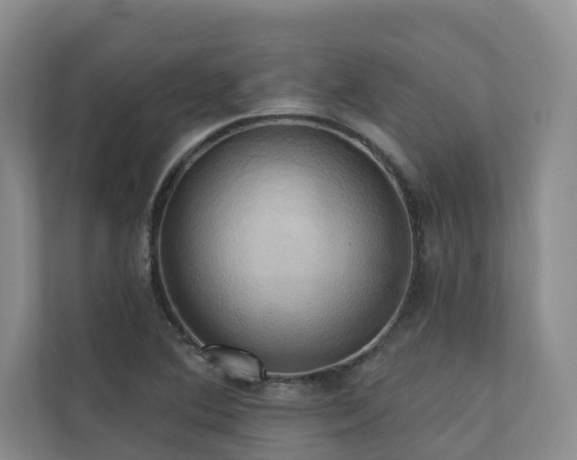 X0000110681364200906121157