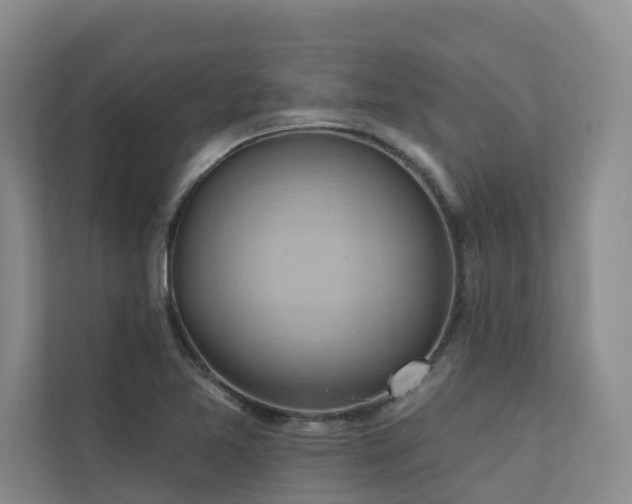 X0000110681365200906121157