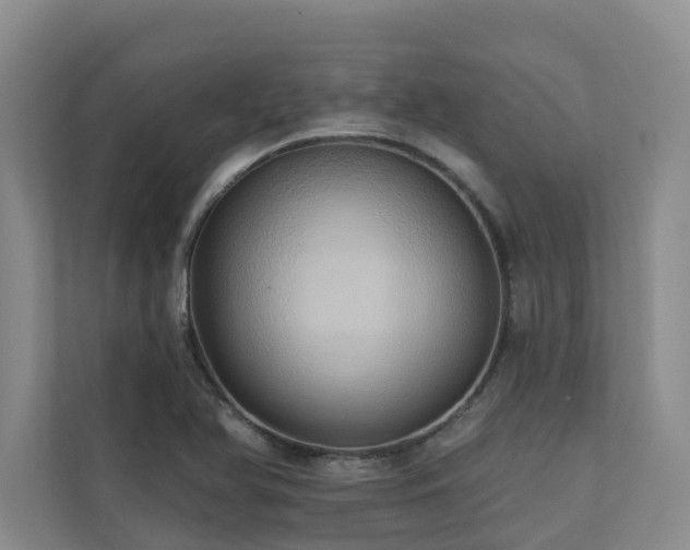X0000110681366200906121157