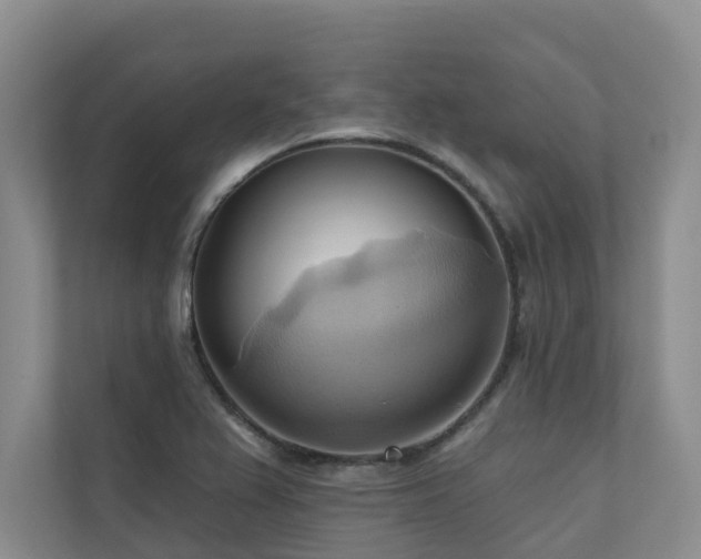 X0000110681367200906121157