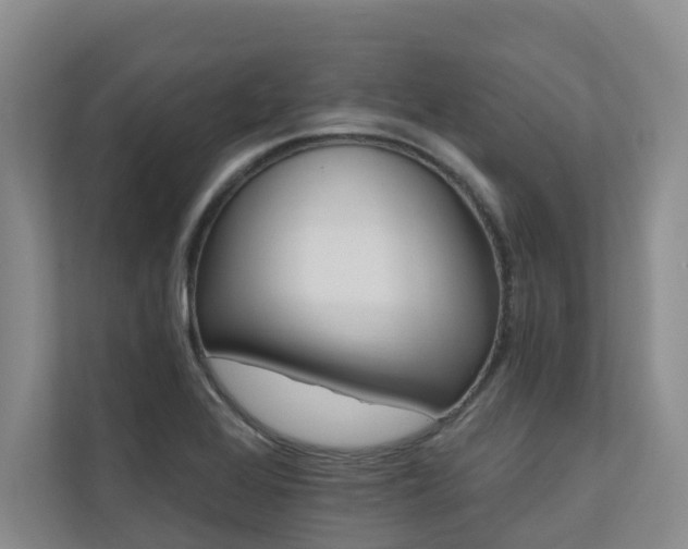 X0000110681368200906121157