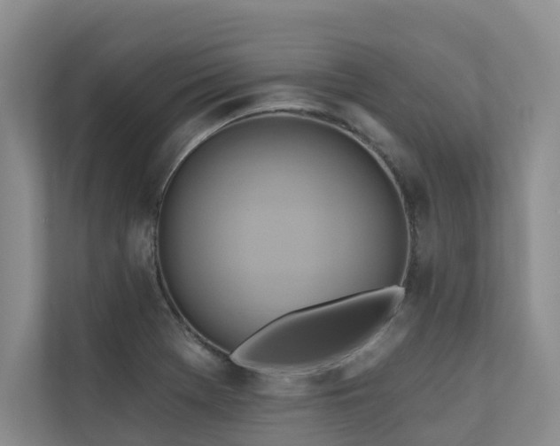X0000110681369200906121157