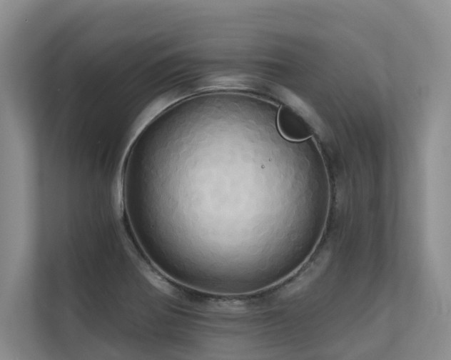 X0000110681370200906121157