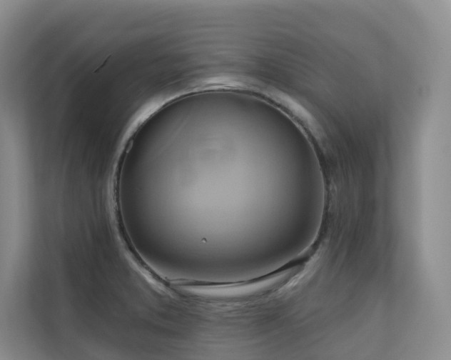 X0000110681373200906121157