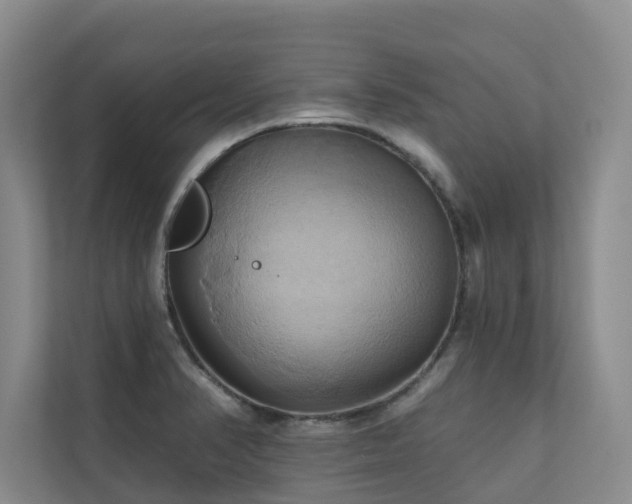 X0000110681374200906121157