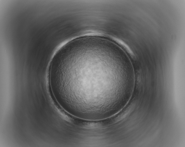 X0000110681375200906121157