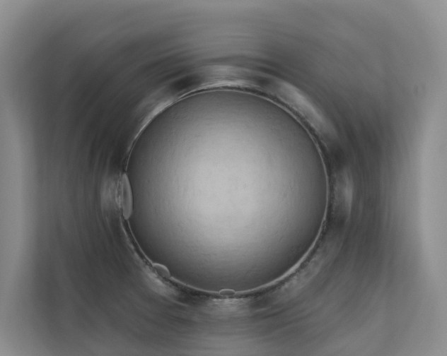 X0000110681377200906121157