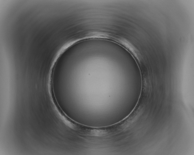 X0000110681379200906121157