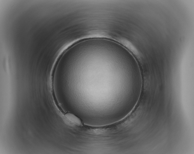X0000110681380200906121157