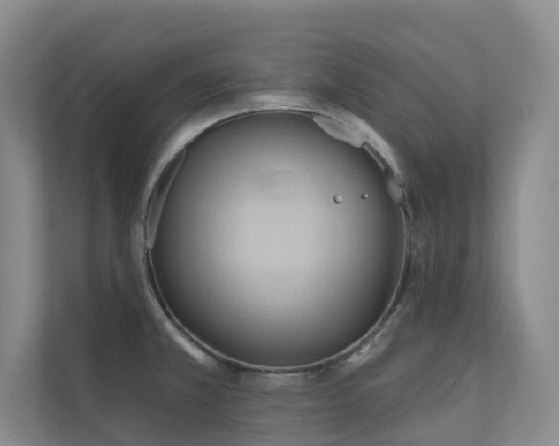 X0000110681381200906121157